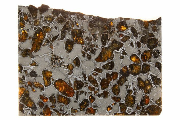 Polished Gyarub Zangbo Pallasite Meteorite ( g) Slice #301045